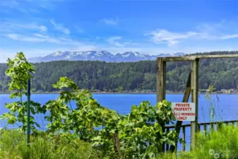 Hood Canal Beach access with TECC membership