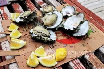 Enjoy a seafood feast gathered from TECC's private Hood Canal Beach