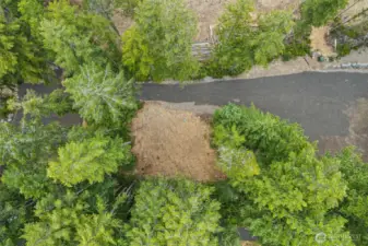 This is the view of the drainfield area.