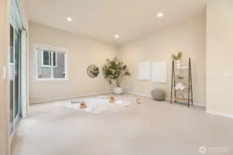 Lower level with many options for use.