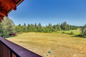 Pastoral, sunny views
