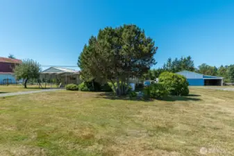 Mature landscaping, with elbow room giving easy access to outbuildings