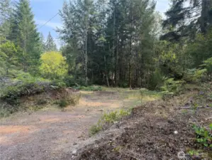 Partially Cleared Lot