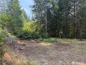 Open clearing - bring your RV now.