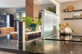 Downdraft and hidden power that pops out of the spacious island