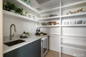 Pantry with coffee area and beverage fridge