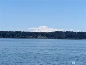 Mount Rainier views