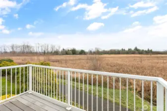 Sweeping nature views!