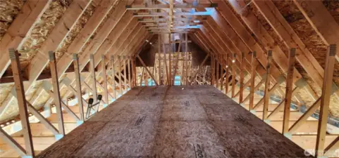 MASSIVE storage area above the garage!