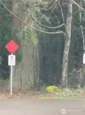 Head to the top of Champion Dr SW, and look for the entrance path the leads into acres of the expansive and beautiful Millersylvania state park that offers camping or day usage.