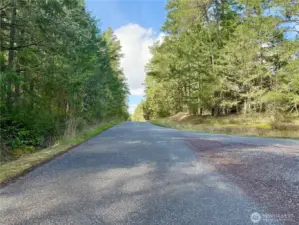 Tarte Road view west from property