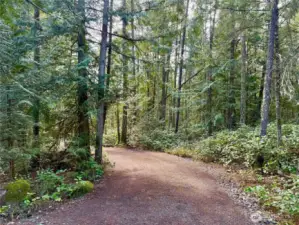 Nice meandering driveway access