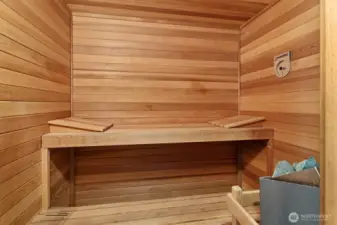 Primary ensuite sauna