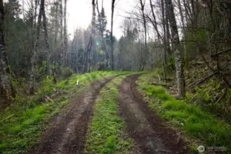 Dirt road access to lower portion of property