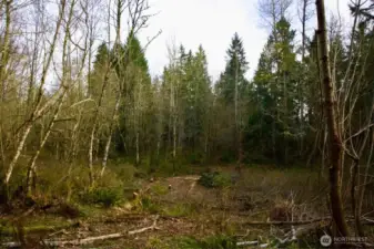 Flat portion at bottom of property. Bring your vision!