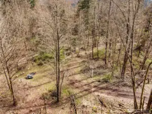 View from back deck. Another portion of bottom property (left side is neighboring parcel)