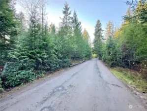 Looking west along NW Pacific Jewell Road. Property is on the left-hand side.