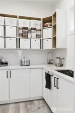 Specious butler style pantry with sink