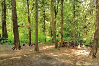 Experience the nature at its best in your own back yard. A true paradise for everyone especially the kids.