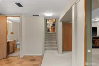 Basement Living/ Flex Space