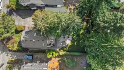 Overhead view
