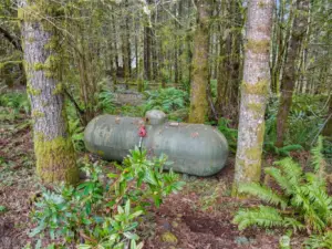 500-gallon owned propane tank