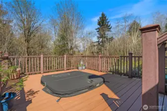 Imagine in the evening looking at the stars from this conveniently-placed hot tub just off the expansive back deck.