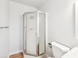 Lower Level Bathroom with New Vanity