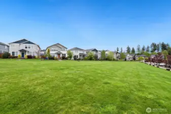 House front yard that opens to a large common lawn where kids play and families gather.