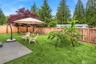 - Cherry tree, patio, and space for a hammock  - Large umbrella for added comfort (will remain with the home).  Grass is now dormant photo enhanced