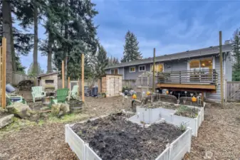 Gardeners delight with several raised garden beds.  Greenhouse, tool shed and chicken coop.  Chickens can stay if desired.