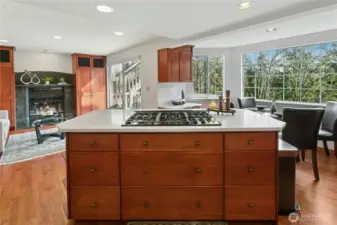 Miles of countertops, and acres of storage give you places for all the your favorite cooking appliances.