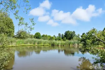 Greenspace
