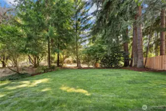 This .56 Lot is lightly treed and perfect for exploring!