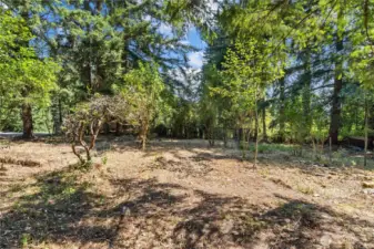 Beautiful Lot...possible subdivide? Seller has not explored this, but you should!