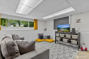 Downstairs media room