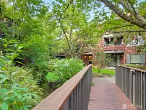 Walking bridge over creek