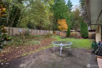 Back patio and yard.