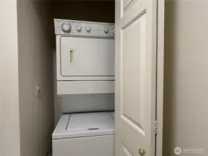 In-suit Washer/Dryer