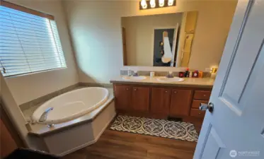 Primary en-suite bathroom with soaking tub, double sinks and step-in shower.