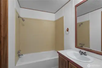 The tub and shower in the PBa.