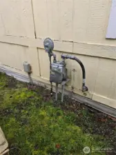 Gas to the house for the furnace!