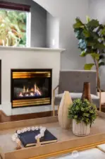 Welcome Home! Gas Fireplace in Light-filled Living Room