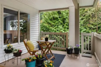 Outdoor Living Space - Covered Deck
