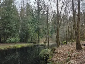 pond on site in the middle of the property shared with neighbor to the North