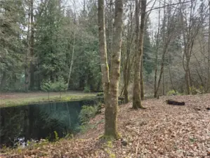 pond in middle of property that is shared with neighbor to the North