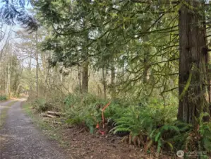 Southwest corner of 10 acres