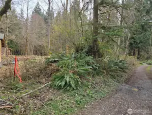 Northwest corner at this metal fence post.