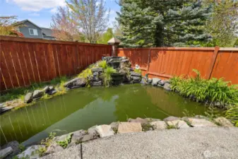 Koi Pond