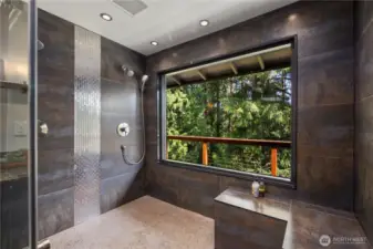 Master shower